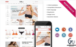 Silkova - The Ladies Wear Woocommerce Responsive