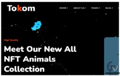 Tokom - Crypto Token Exchange WordPress Theme