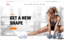 tFitness - Fitness and Sport WordPress Theme