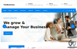 TishBusiness - Corporate and Business WordPress Theme