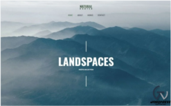 Natural Hunter Creative Photographer WordPress theme