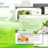 Herbal - Pure Ayurveda WordPress Theme 3 22 2