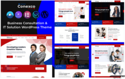 Conexco - Business Consultation and IT WordPress Theme