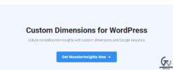 MonsterInsights Custom Dimensions Addon 2.1.1