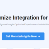 MonsterInsights Google Optimize Addon