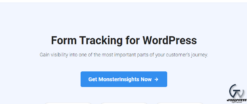 MonsterInsights Forms Addon 2.3.2
