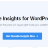 MonsterInsights Page Insights Addon 1.6.0 3 MonsterInsights Page Insights Addon 1