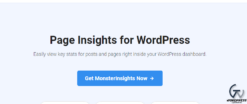MonsterInsights Page Insights Addon 1.6.0