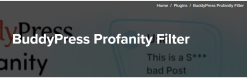BuddyPress Profanity Filter 1.2.4