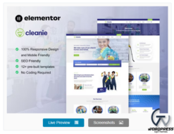 Cleanie - Cleaning Service Company Elementor Template Kit
