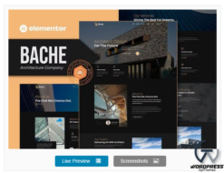 Bache - Architecture Company Elementor Template Kit