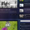 depth wordpress theme 500x360 1