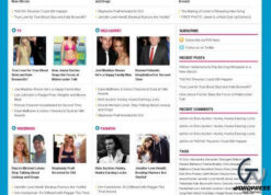 Theme Junkie FashionPro WordPress Theme 2.0.0