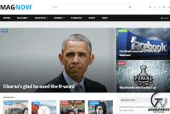 Theme Junkie MagNow WordPress Theme 1.0.4