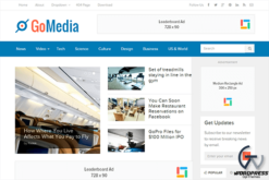 Theme Junkie GoMedia WordPress Theme 1.0.6