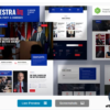Coestra – Political Party & Candidate Elementor Template Kit 2 24. 5