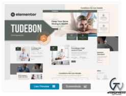 Tudebon - Chiropractic & Physiotherapy Elementor Template Kit