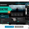 Reactive - Cyber Security Services Elementor Template Kit 3 34. 2