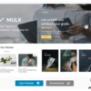 Mulk - Digital Agency Elementor Template Kit 3 15 2