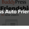 BuddyPress Auto Friendship Pro 1.2.2 3 BuddyPress Auto Friendship Pro