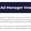 Advanced Ads Google Ad Manager Integration
