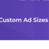 AdSanity – Custom Ad Sizes 1.5.1 3 AdSanity %E2%80%93 Custom Ad Sizes
