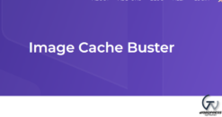 AdSanity – Image Cache Buster 1.2