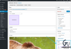 AdSanity – Weighted Ads 1.2
