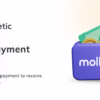 Mollie payment gateway for Booknetic