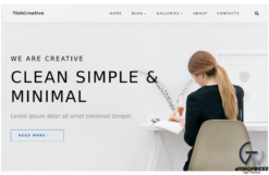 TishCreative - Creative Agency WordPress Theme