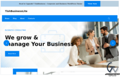 TishBusinessLite - Free Corporate and Business WordPress Theme