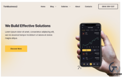 TishBusiness2 - Business WordPress Theme