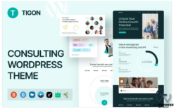 Tigon Consulting WordPress Theme