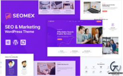 SEOMEX - SEO Agency and Online Marketing WordPress Theme