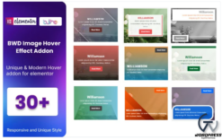 Image Hover Effect WordPress Plugin for Elementor