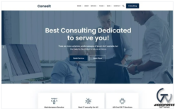 Consalt - Consulting Responsive WordPress Theme