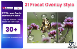 Image Overlay WordPress Plugin For Elementor