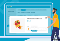 WOOCOMMERCE QUANTITY MANAGER 2.4.0