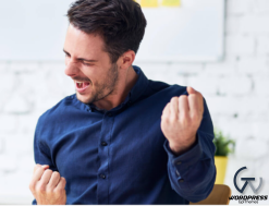 Frontend Admin Pro 3.22.1