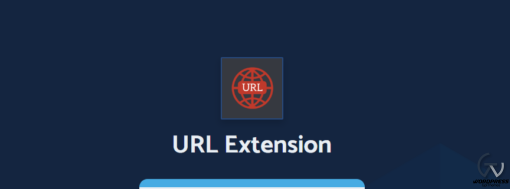 All in One WP Migration URL