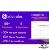 Divi Plus E28093 The Ultimate Module Pack WordPress Plugin with original license key Activation for lifetime