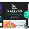 KALLYAS Creative eCommerce Multi Purpose WordPress Theme