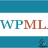 WPML String Translation Addon
