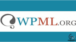 WPML String Translation Addon 3.2.16