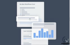 Formidable Forms – ACF 1.0.2