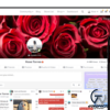 PeepSo Monetization E28093 Tutor LMS