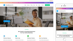 VisualBusiness Pro 1.0.5