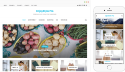 EnjoyStyle Pro 1.0.3
