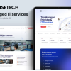 Risetech - Managed IT Services Elementor Template Kit 2 29 2