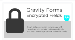 Gravity Forms Encrypted Fields 6.2.1